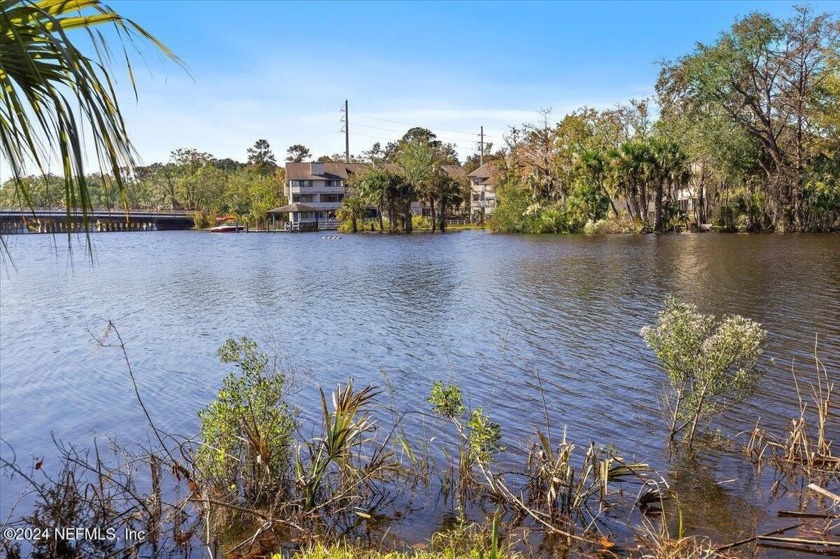 Riverviews and a sparkling pool Everyday on this huge 1/2 acre - Beach Home for sale in Jacksonville, Florida on Beachhouse.com