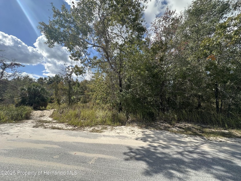 Looking for privacy and peace? Look no further!! Come discover - Beach Lot for sale in Weeki Wachee, Florida on Beachhouse.com
