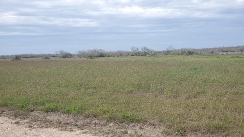 Situated in a gated community, this picturesque 1-acre tract - Beach Lot for sale in Riviera, Texas on Beachhouse.com