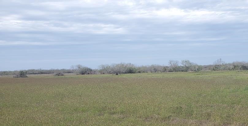 Located in a gated community, this beautiful 0.98-acre tract - Beach Lot for sale in Riviera, Texas on Beachhouse.com