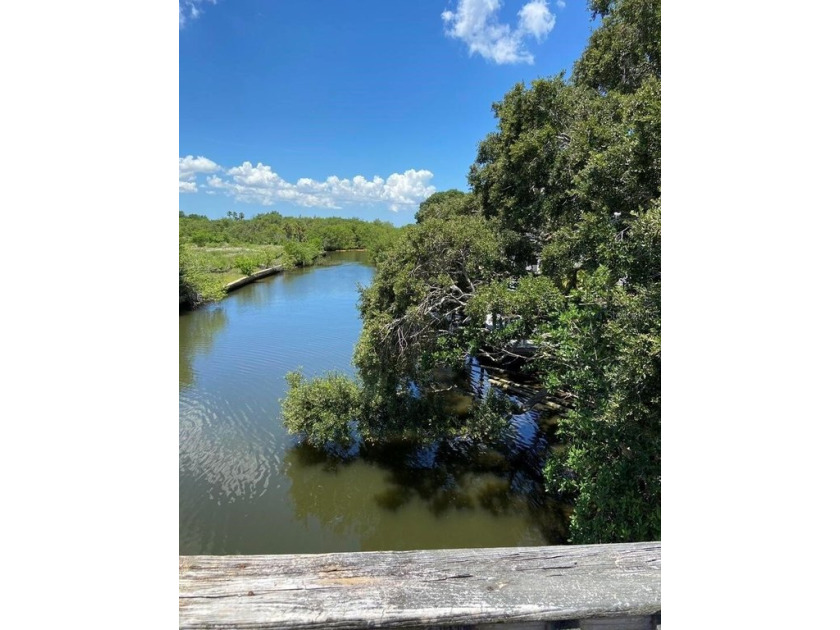 Build your custom home on this deep water canal in South Tampa - Beach Lot for sale in Tampa, Florida on Beachhouse.com