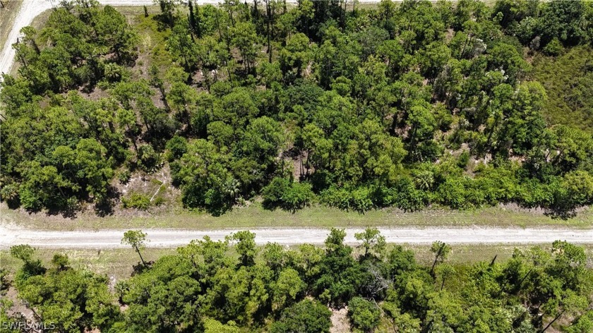 Amazing .26 Acre lot -11,313 Sq Ft is perfect for your next new - Beach Lot for sale in Lehigh Acres, Florida on Beachhouse.com