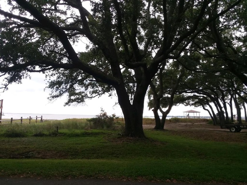 Lot 58 only at this address. Build your vacation home on this - Beach Lot for sale in Saint Helena Island, South Carolina on Beachhouse.com