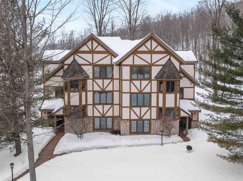 Act now to secure this perfectly positioned, fully furnished - Beach Condo for sale in Harbor Springs, Michigan on Beachhouse.com