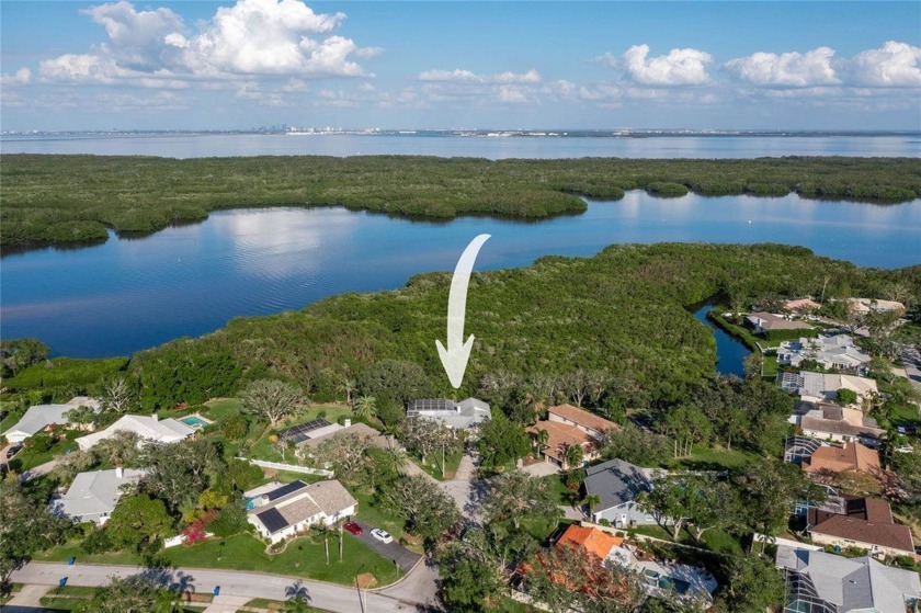 Your private paradise on the preserve awaits! Come and see the - Beach Home for sale in St. Petersburg, Florida on Beachhouse.com