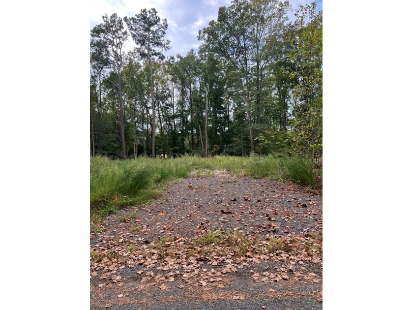 Check out this cleared lot that is all ready to be built on! - Beach Lot for sale in Greenbackville, Virginia on Beachhouse.com