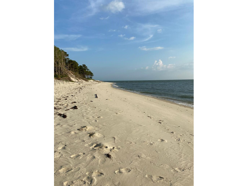 One of the last remaining undeveloped lots with a white sandy - Beach Acreage for sale in Cape Charles, Virginia on Beachhouse.com