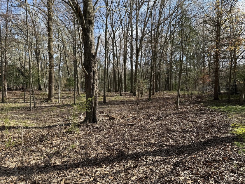 Build Your Dream Home in Michigan! This beautiful building site - Beach Lot for sale in Harbert, Michigan on Beachhouse.com