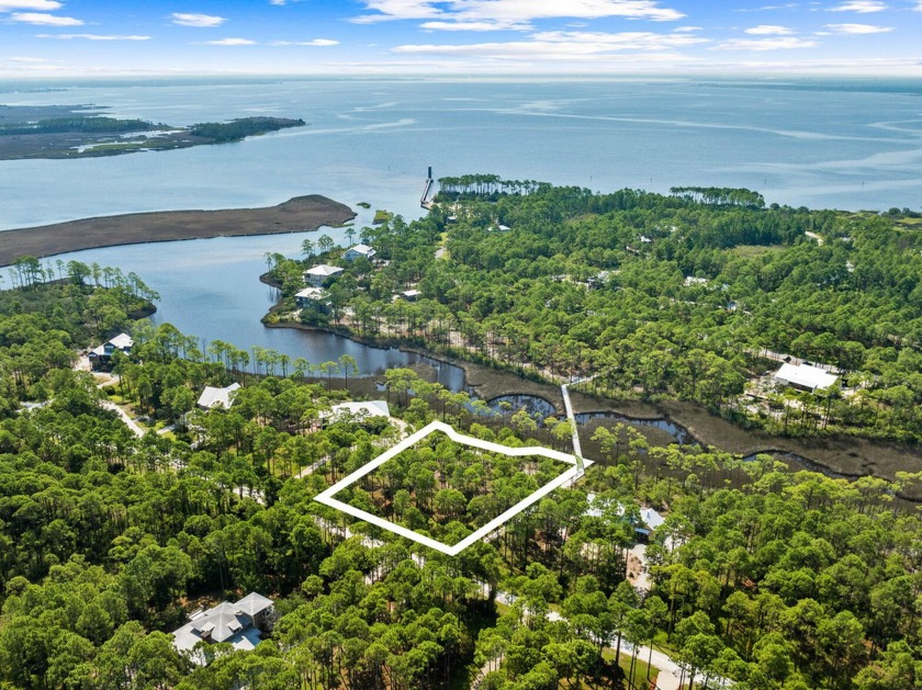 Situated in a serene natural setting with its prime location - Beach Lot for sale in Panama City Beach, Florida on Beachhouse.com