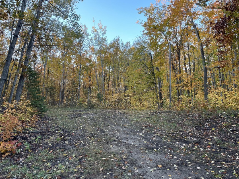 Beautiful 1-acre lot located at the end of a cul-de-sac in the - Beach Lot for sale in Cheboygan, Michigan on Beachhouse.com