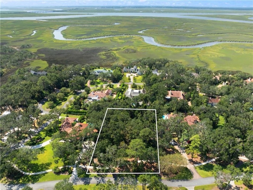Build your dream home on one of the last remaining lots in the - Beach Lot for sale in Saint Simons, Georgia on Beachhouse.com