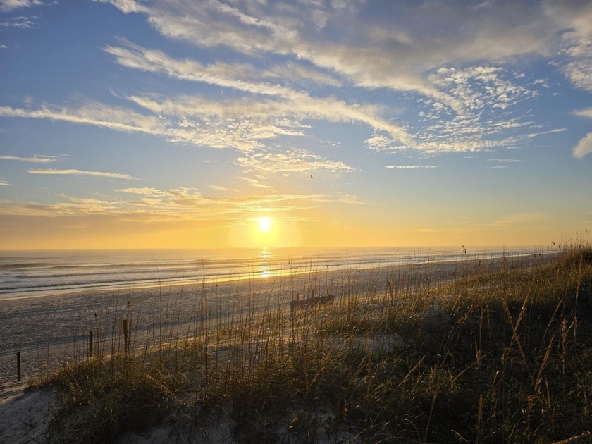 Anastasia State Park Is Calling And Menendez Park Has Direct - Beach Home for sale in St Augustine, Florida on Beachhouse.com