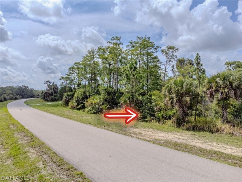 Exceptional Oversized Lot with Canal View in Greenbriar Area of - Beach Lot for sale in Lehigh Acres, Florida on Beachhouse.com