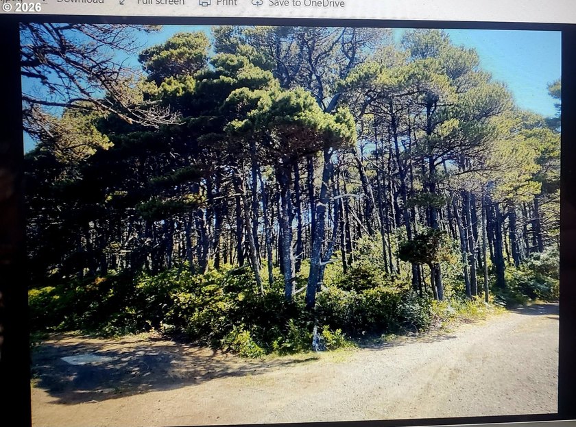 Welcome to this lovely 1/4 of an acre natural treed lot in close - Beach Lot for sale in Waldport, Oregon on Beachhouse.com