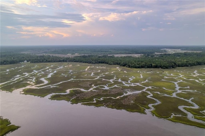 DISCOVER 11.64 ACRES OF PRISTINE WATERFRONT PROPERTY, INCLUDING - Beach Acreage for sale in Woodbine, Georgia on Beachhouse.com