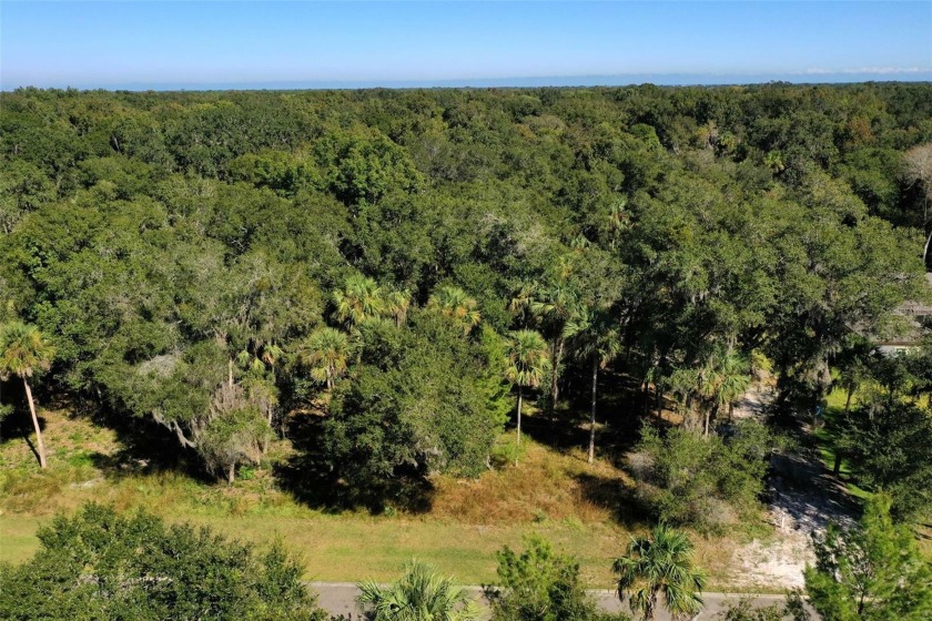 THE SKY IS THE LIMIT! Bring your builder and purchase this - Beach Acreage for sale in Flagler Beach, Florida on Beachhouse.com