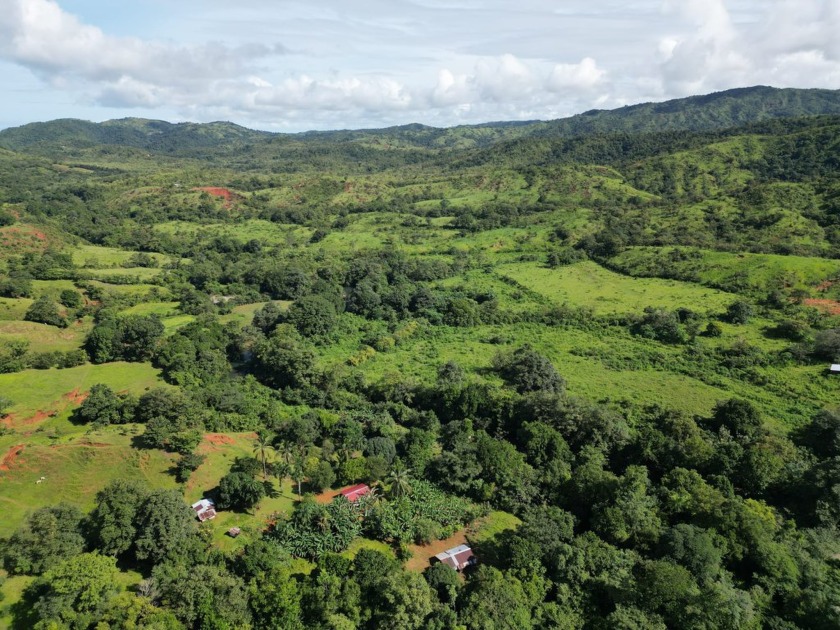 Land for Sale in Torio, Veraguas - Perfect for Cattle Ranching - Beach Lot for sale in Torio,  on Beachhouse.com