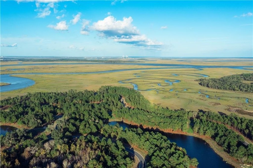 Bridge Pointe at Jekyll Sound is a community where every day - Beach Lot for sale in Waverly, Georgia on Beachhouse.com