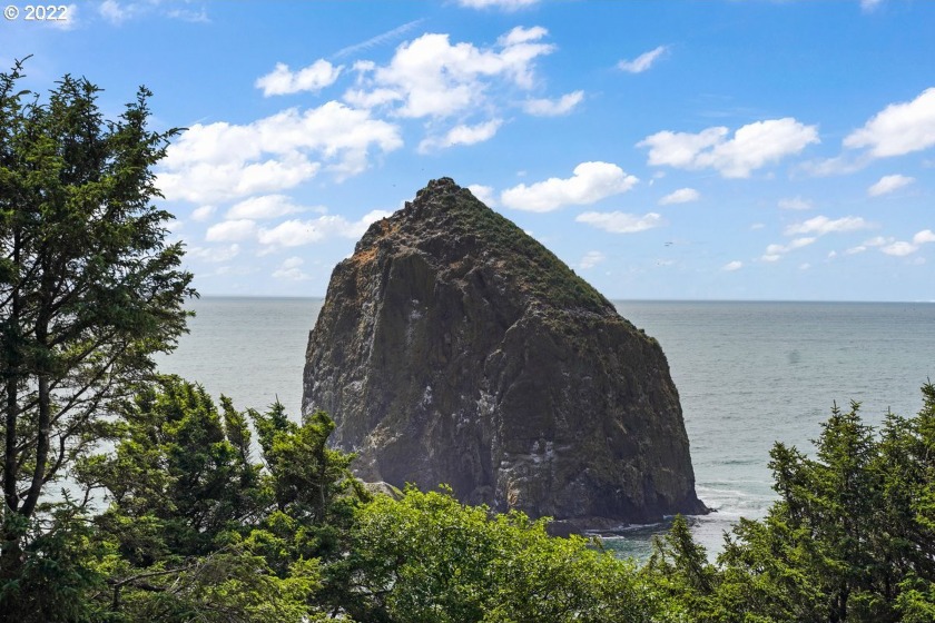 Come explore the perfectly sited 4.1 parcel within the beautiful - Beach Acreage for sale in Cannon Beach, Oregon on Beachhouse.com