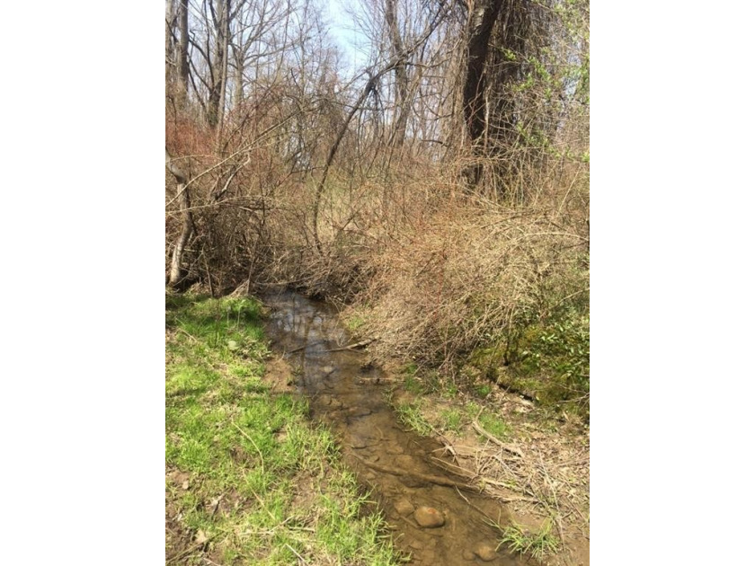 Beautiful lot with a meandering stream running along the west - Beach Lot for sale in North East, Pennsylvania on Beachhouse.com