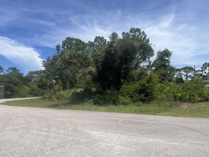Don't miss out on this fantastic city water corner lot, in a - Beach Lot for sale in Palm Bay, Florida on Beachhouse.com