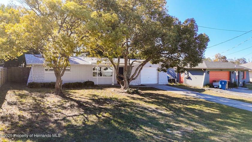 Discover this impeccably maintained single-family home, nestled - Beach Home for sale in Spring Hill, Florida on Beachhouse.com