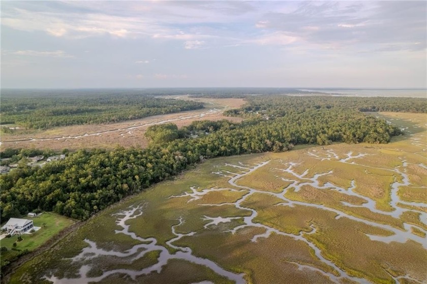 OVER FIVE ACRES OF WATERFRONT PROPERTY WITH PLENTY OF PRIVACY - Beach Acreage for sale in Woodbine, Georgia on Beachhouse.com