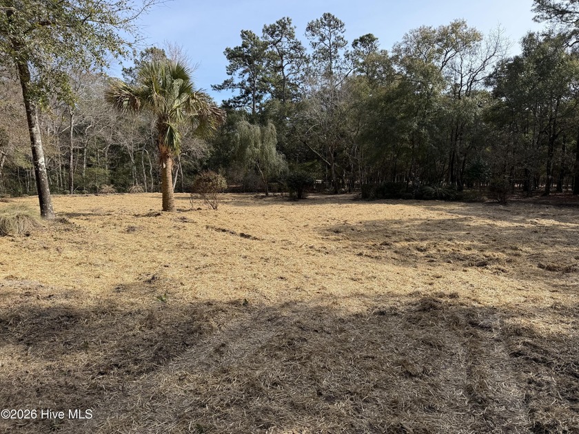 Unique opportunity! Two lots combined in one parcel, +-1.24 AC - Beach Lot for sale in Supply, North Carolina on Beachhouse.com