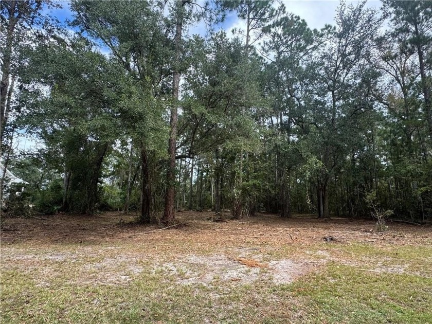 Build your luxury dream home on this .71 acre lot with a pocket - Beach Lot for sale in Waverly, Georgia on Beachhouse.com