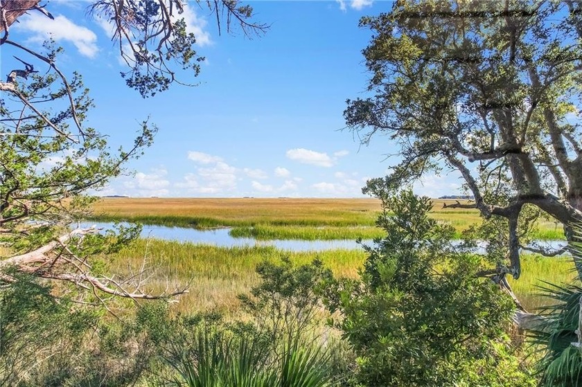 Build your coastal retreat on this marsh front lot on Tolomato - Beach Lot for sale in Darien, Georgia on Beachhouse.com