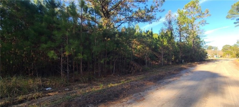 No HOA! This is a great opportunity to have a place at the coast - Beach Lot for sale in Townsend, Georgia on Beachhouse.com