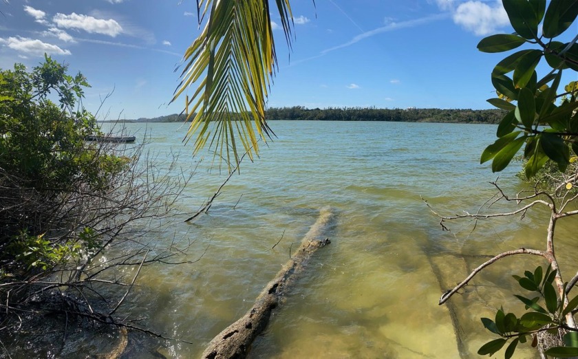 Exclusive opportunity to grab the last remaining lakefront lot - Beach Lot for sale in Skyline,  on Beachhouse.com