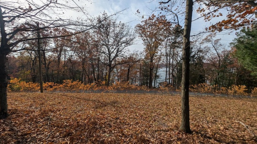 Looking for your next ''Up North'' Getaway? Well look no further - Beach Lot for sale in Free Soil, Michigan on Beachhouse.com