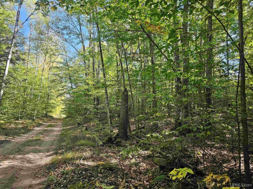 Discover the perfect high-ground building site in the scenic - Beach Lot for sale in Manistique, Michigan on Beachhouse.com