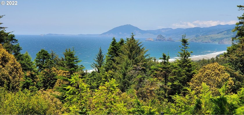 Perched high above the coastline, this extraordinary nearly - Beach Lot for sale in Gold Beach, Oregon on Beachhouse.com