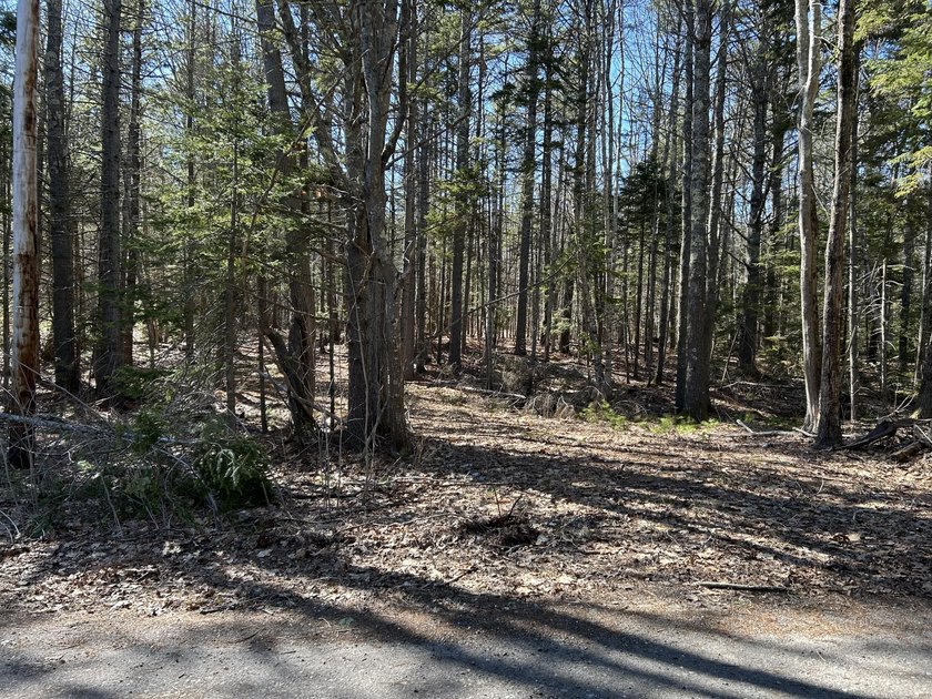 Come and build your home or cottage getaway on this surveyed 0 - Beach Lot for sale in Harpswell, Maine on Beachhouse.com