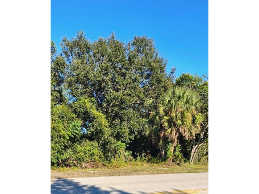 Build Your Dream Home in Beautiful Port Charlotte!

Build on - Beach Lot for sale in Port Charlotte, Florida on Beachhouse.com