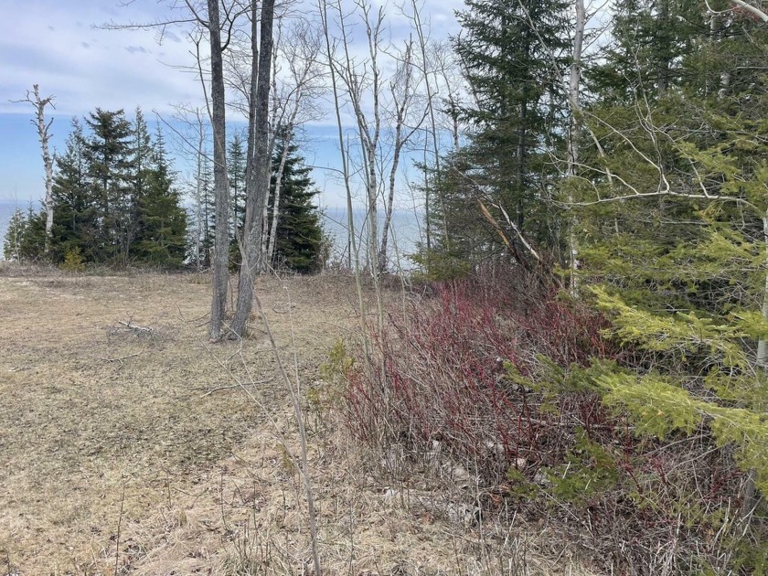 Offered for sale is this very cool lot with sandy frontage. It - Beach Lot for sale in Cheboygan, Michigan on Beachhouse.com