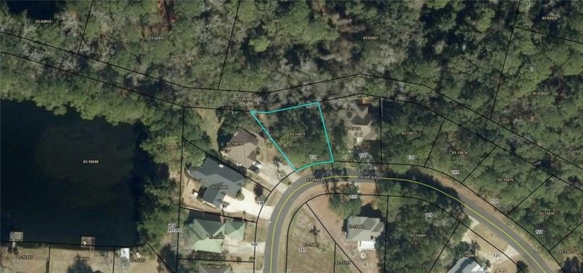 Build your dream home on this lot located in the covet4ed Palm - Beach Lot for sale in Brunswick, Georgia on Beachhouse.com