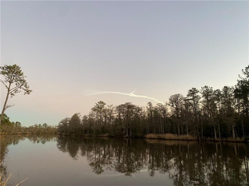 Gorgeous Lot on Cathead Creek in Greenwood Plantation! This - Beach Lot for sale in Darien, Georgia on Beachhouse.com