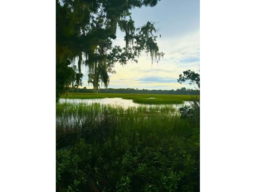 This is a fantastic opportunity to purchase two waterfront lots - Beach Acreage for sale in Darien, Georgia on Beachhouse.com