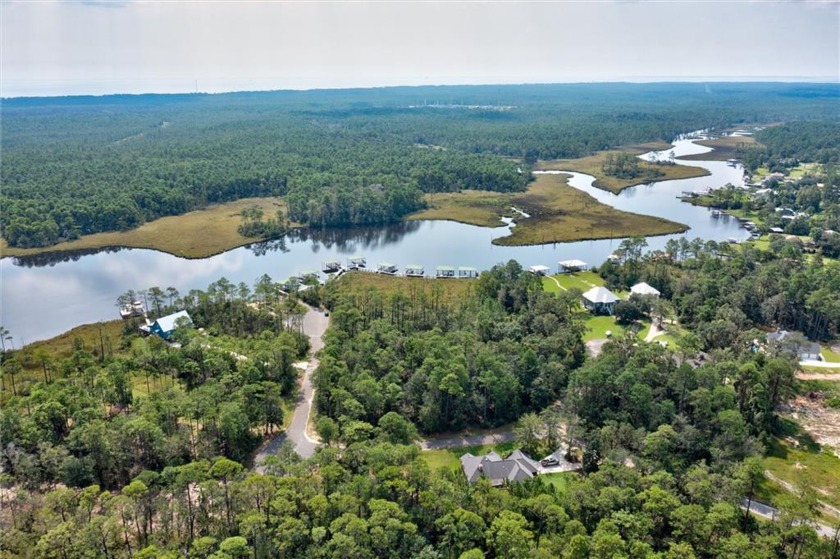 Come live in a Gated community on a natural part of beautiful - Beach Lot for sale in Coden, Alabama on Beachhouse.com