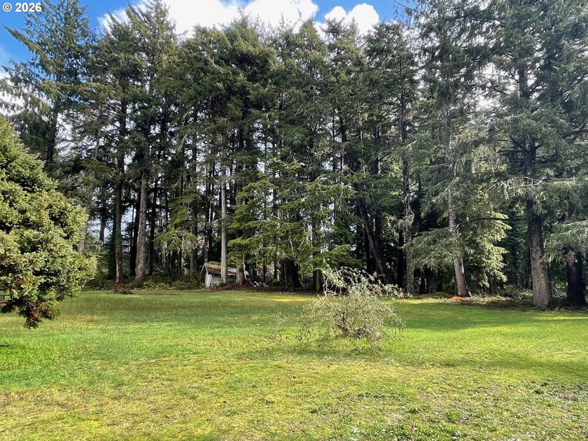Over one acre of serene creekfront property on quiet Gearhart - Beach Lot for sale in Gearhart, Oregon on Beachhouse.com