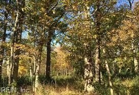 TO ALL DEVELOPERS AND INVESTORS! GREAT OPPORTUNITY TO BUILD MULT - Beach Acreage for sale in Chesapeake, Virginia on Beachhouse.com