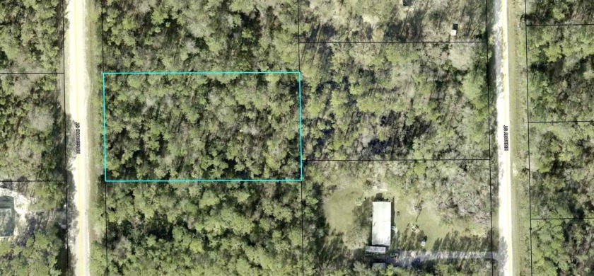 Under contract-accepting backup offers. Nice 165x300' country - Beach Lot for sale in Bunnell, Florida on Beachhouse.com