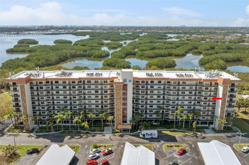 Under contract-accepting backup offers. Welcome to Otter - Beach Condo for sale in St. Petersburg, Florida on Beachhouse.com
