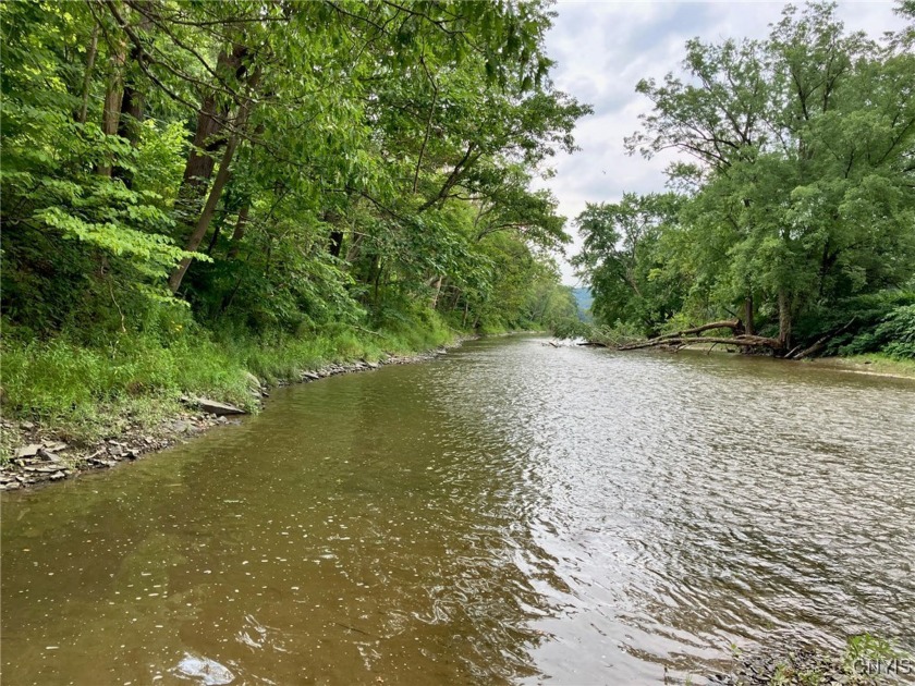 This 2.49 acre parcel is located on the banks of the Tioughnioga - Beach Acreage for sale in Barker, New York on Beachhouse.com