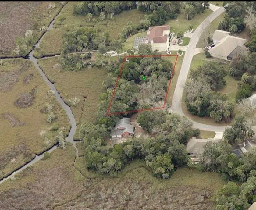 Build your dream home on this beautiful waterfront semi wooded - Beach Lot for sale in Homosassa, Florida on Beachhouse.com