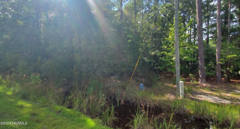 Wooded lot that has creek access in rear. Can take canoes or - Beach Lot for sale in Belhaven, North Carolina on Beachhouse.com