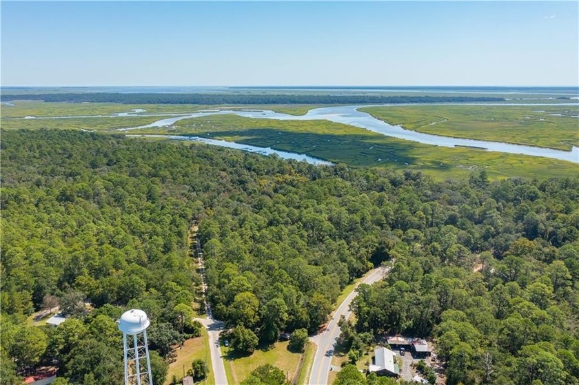 Desireable 6.87 ACRE lot with river frontage and spectacular - Beach Acreage for sale in Townsend, Georgia on Beachhouse.com